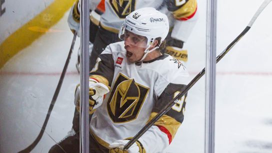 TST Images: Golden Knights defeat Ducks, 6-2, in Anaheim taken at Honda Center (Anaheim Ducks)