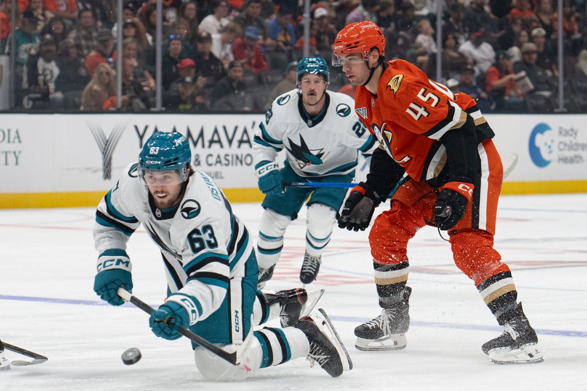 San Jose Sharks center Zack Ostapchuk (63) dives for the puck during an NHL match between San Jose Sharks and Anaheim Ducks on Sunday, September 20, 2026 at Honda Center in Anaheim, California. San Jose Sharks center Zack Ostapchuk (63) dives for the puck during an NHL match between San Jose Sharks and Anaheim Ducks on Sunday, September 20, 2026 at Honda Center in Anaheim, California.