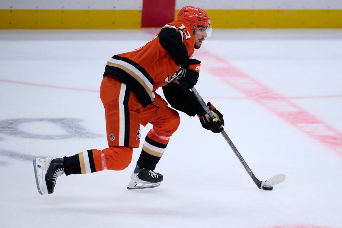 Anaheim Ducks Nikita Nesterenko #13 skates with the puck during an NHL game against The Florida Panthers on Sunday, October 4th, 2026 at Honda Center in Anaheim, California. Anaheim Ducks Nikita Nesterenko #13 skates with the puck during an NHL game against The Florida Panthers on Sunday, October 4th, 2026 at Honda Center in Anaheim, California.