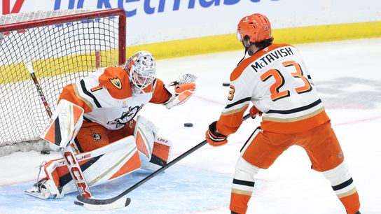 Ducks extend qualifying offers to RFAs Dostál, McTavish, 6 others taken in Anaheim (Anaheim Ducks)