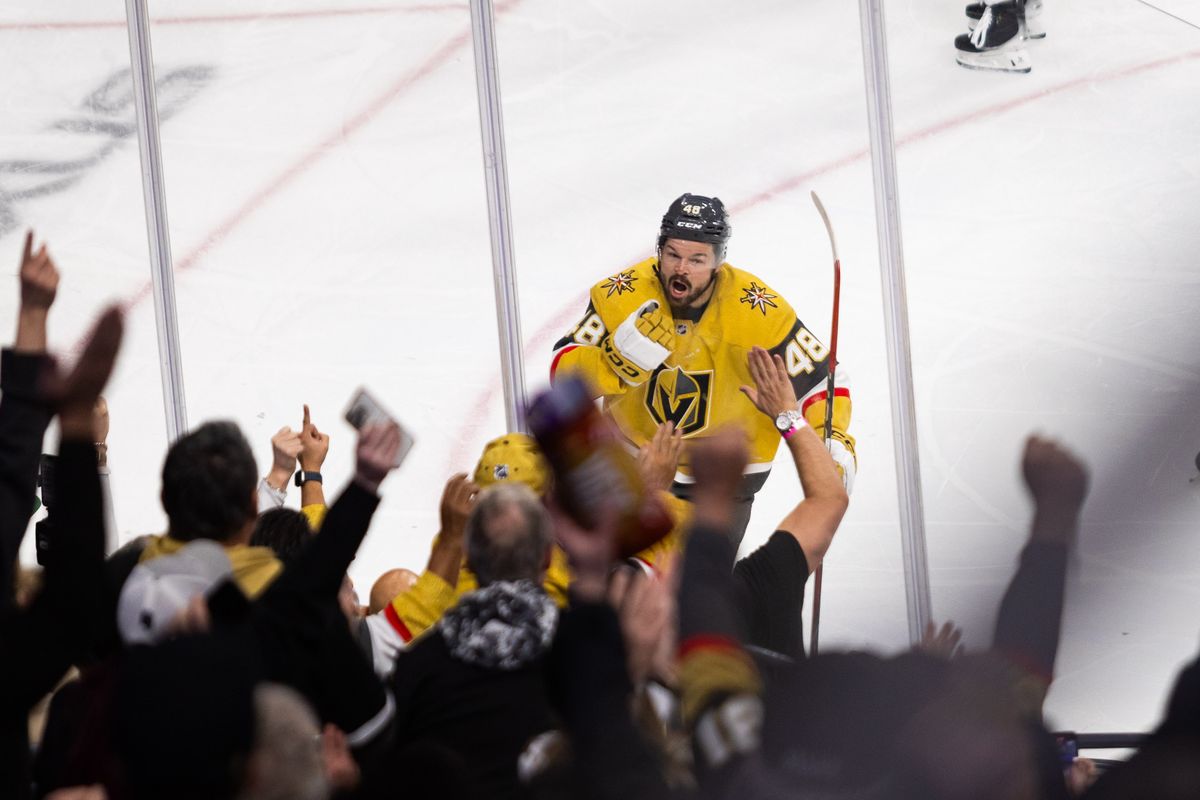 Las Vegas Golden Knights center Tomas Hertl (48) yells in excitement after scoring during a NHL game between the Las Vegas Golden Knights and the Columbus Blue Jackets, Thursday January 30, 2025 in Las Vegas, Nev.
