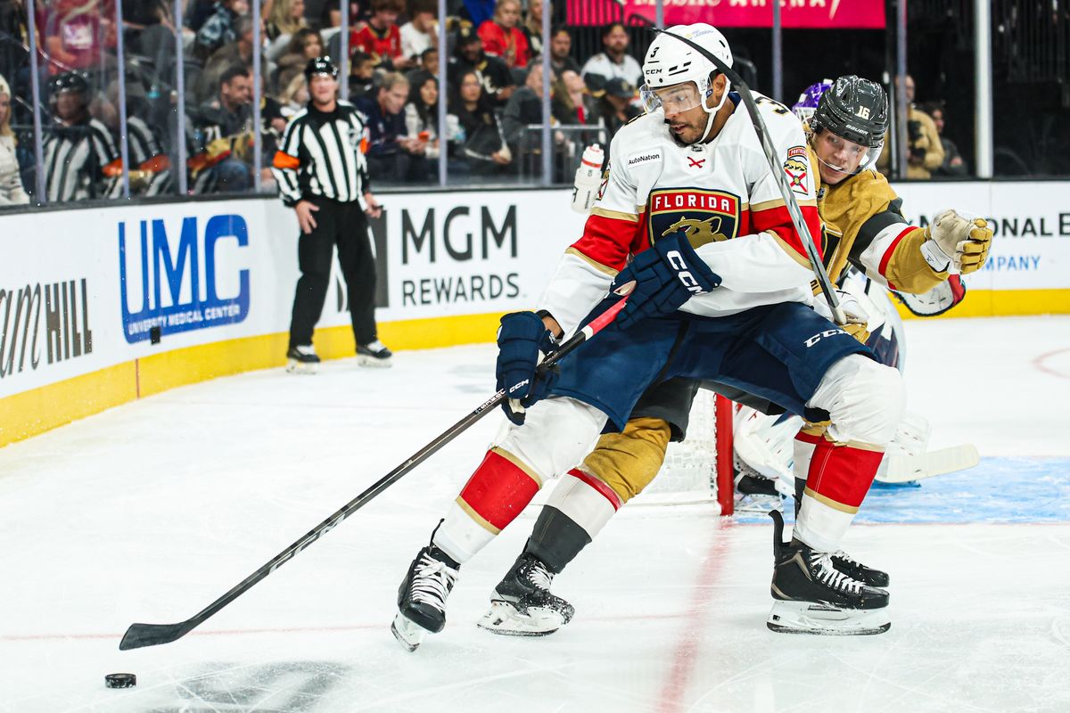 Florida Panthers D Seth Jones (3) fends off Vegas Golden Knights RW Pavel Dorofeyev (16) during an NHL game on Monday November 10, 2025, in Las Vegas, Nevada. 