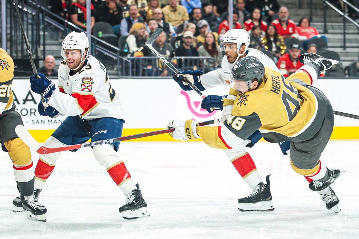 Vegas Golden Knights F Tomas Hertl (48) falls while scoring a goal against the Florida Panthers on Monday November 10, 2025, in Las Vegas, Nevada. 