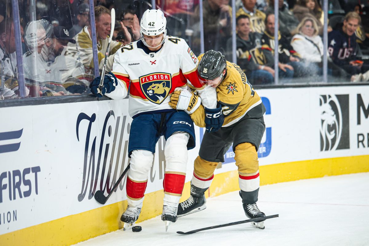 Florida Panthers D Gustav Forsling (42) fights for the puck against Vegas Golden Knights RW Pavel Dorofeyev (16) during an NHL game on Monday November 10, 2025, in Las Vegas, Nevada. 