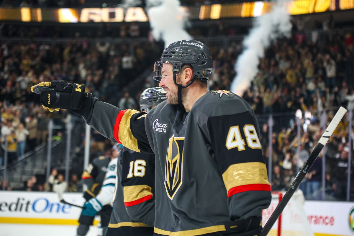 Vegas Golden Knights F Tomas Hertl (48) points to his teammate after scoring a goal against the San Jose Sharks on Saturday November 29, 2025, in Las Vegas, Nevada. 