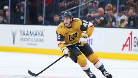 TST Images: Lightning defeat Golden Knights, 6-2, at T-Mobile Arena taken at T-Mobile Arena (Vegas Golden Knights). Photo by Paige Kuwata - The Sporting Tribune