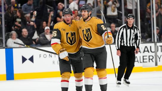 Golden Knights still shorthanded as season resumes taken at City National Arena (Vegas Golden Knights)