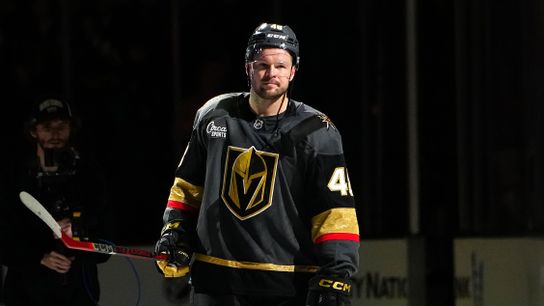 Knights' strong showing tempered by Hertl injury taken at T-Mobile Arena (Vegas Golden Knights)