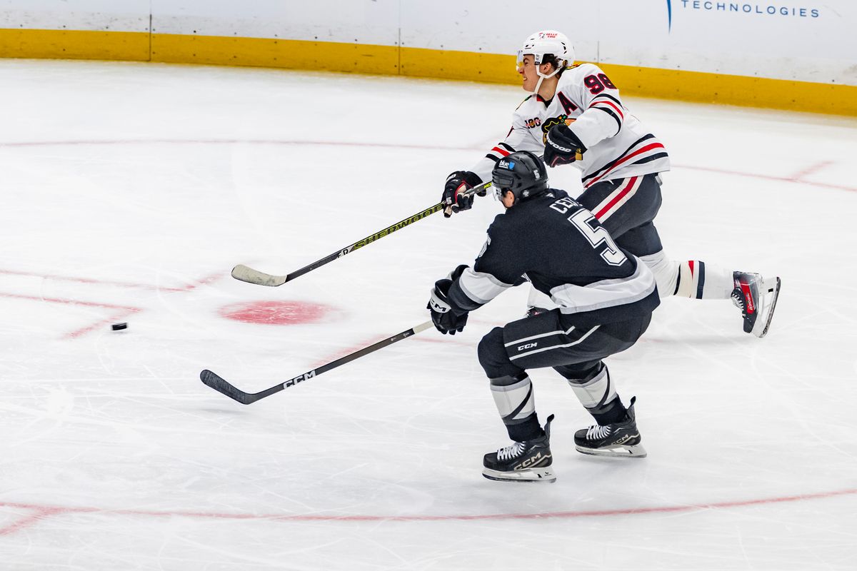 Center Connor Bedard #98 of the Chicago Blackhawks shoots the puck during an NHL hockey game against the Los Angeles Kings, Thursday December 4, 2025 in Los Angeles, Calif.