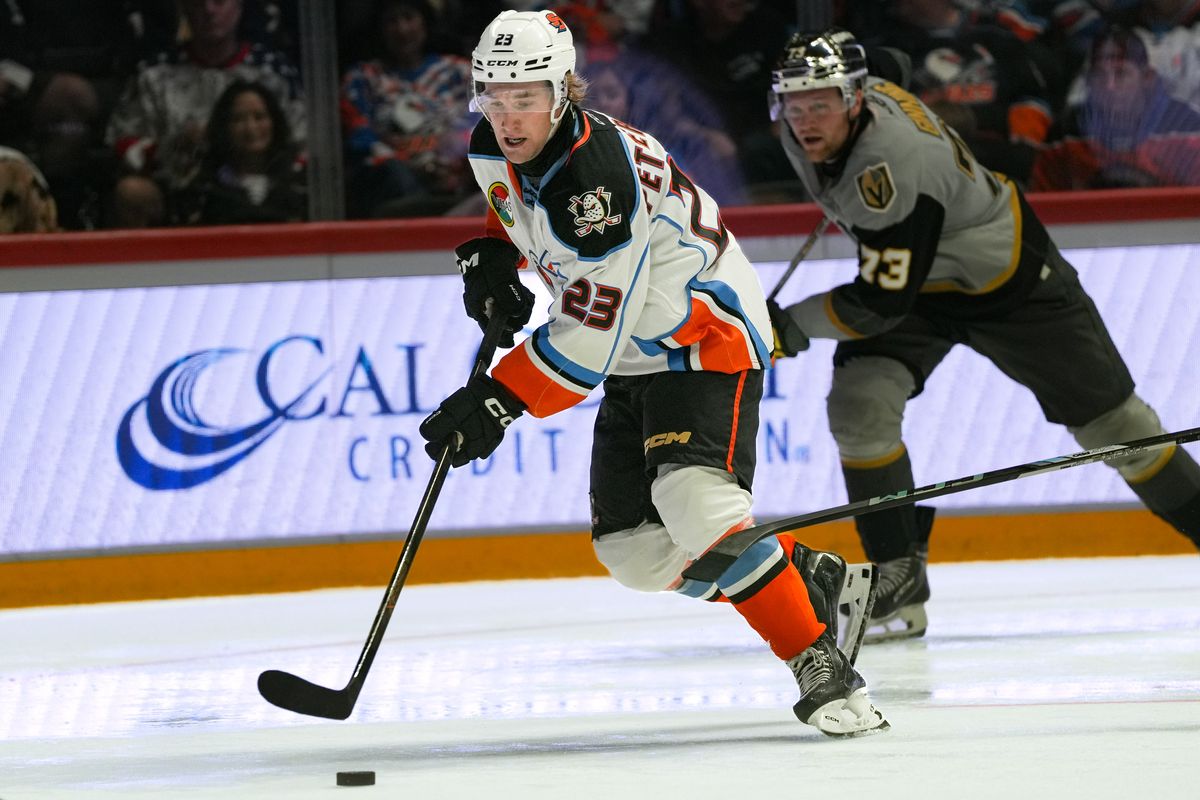 Gulls forward Lucas Pettersson (23) skates past defenders during an AHL hockey game against the Knights, Saturday October 10, 2026 in San Diego, California.