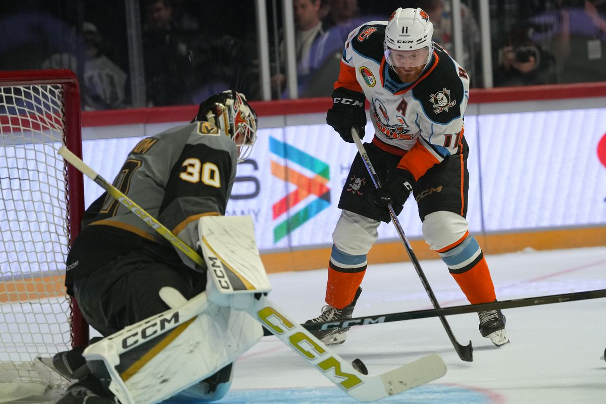 Gulls forward James Hamblin (11) shoots the puck during an AHL hockey game against the Knights, Saturday October 10, 2026 in San Diego, California.