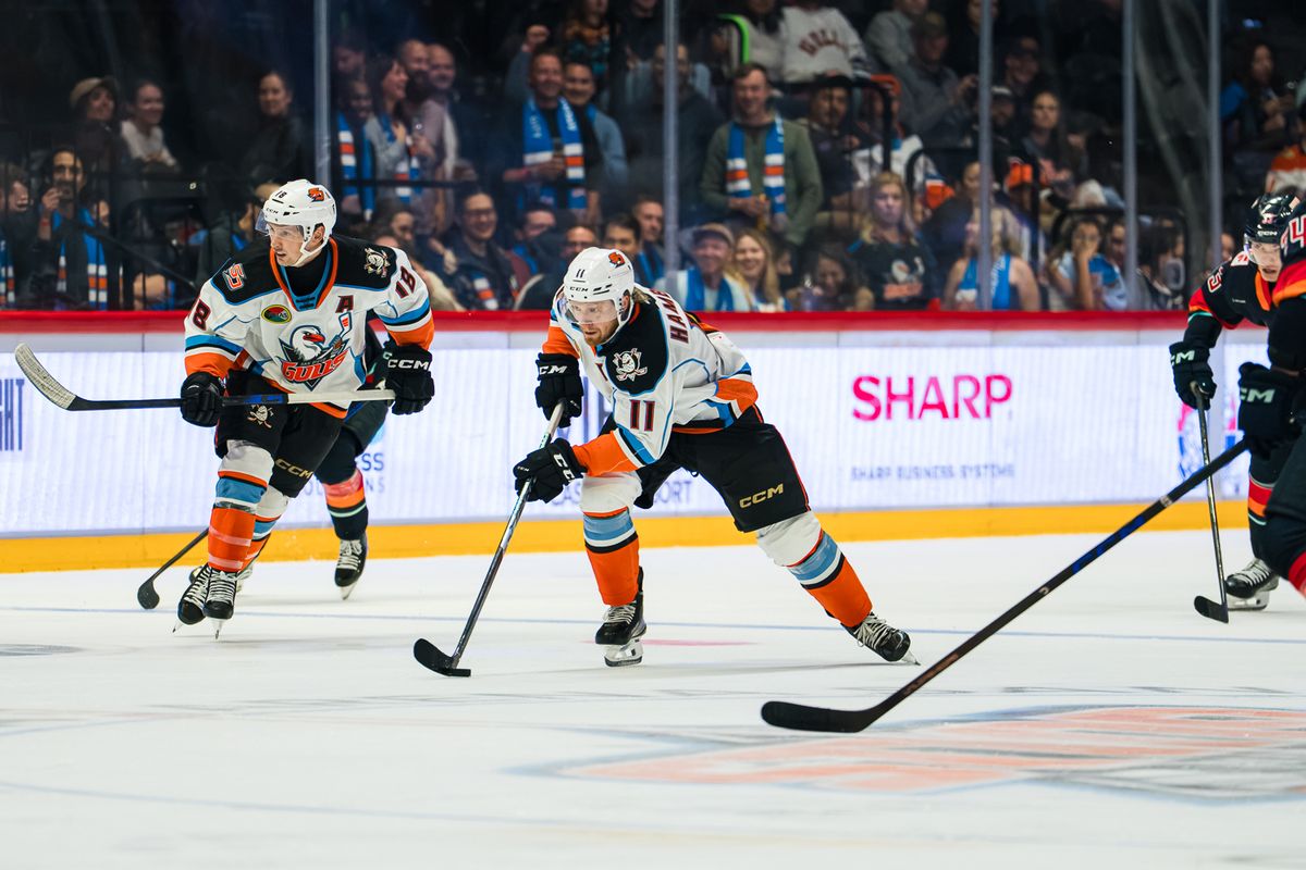 The San Diego Gulls forward James Hamblin (11) splits defenders during an AHL hockey game against the Coachella Valley Firebirds on Wednesday, October 21, 2026, at Pechanga Arena in San Diego, California. The San Diego Gulls forward James Hamblin (11) splits defenders during an AHL hockey game against the Coachella Valley Firebirds on Wednesday, October 21, 2026, at Pechanga Arena in San Diego, California.