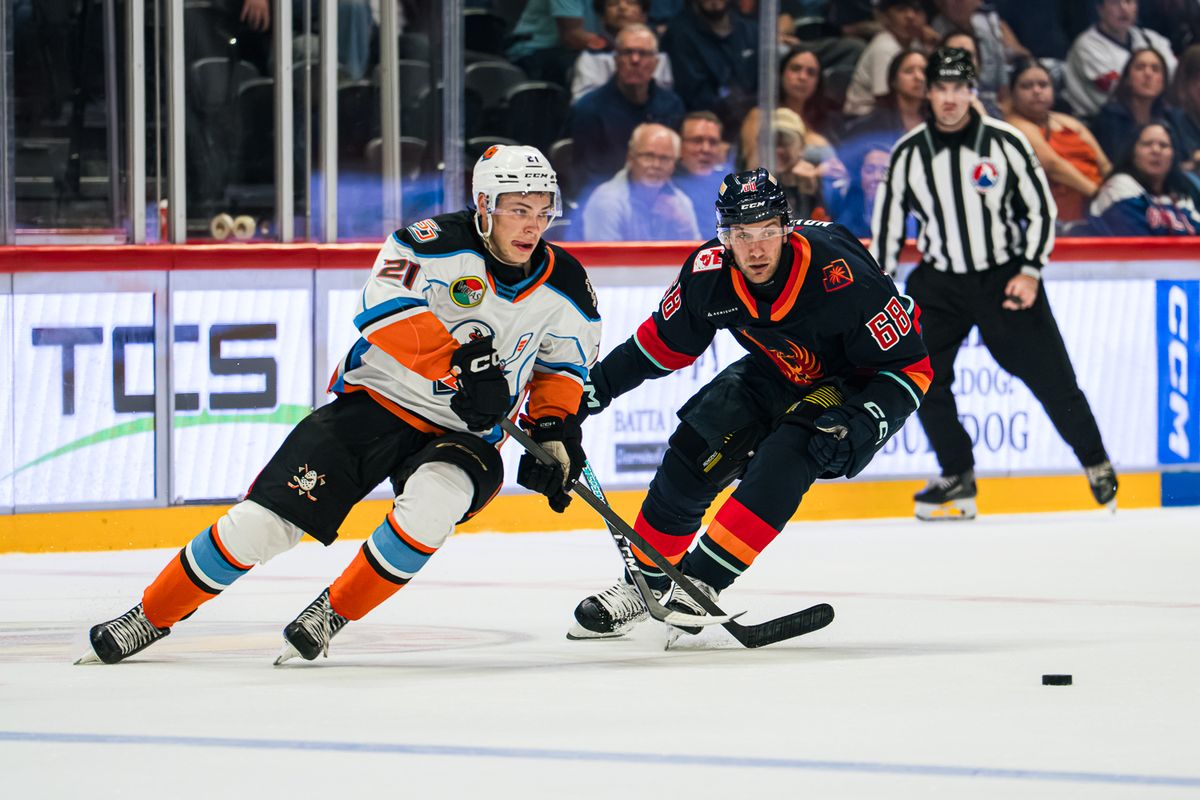 San Diego Gulls forward Nico Myatovic (21) evades a defender during an AHL hockey game against the Coachella Valley Firebirds on Wednesday, October 21, 2026, at Pechanga Arena in San Diego, California. San Diego Gulls forward Nico Myatovic (21) evades a defender during an AHL hockey game against the Coachella Valley Firebirds on Wednesday, October 21, 2026, at Pechanga Arena in San Diego, California.