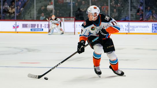 TST Images: Firebirds defeat Gulls, 3-2, In San Diego  taken at Pechanga Arena (San Diego Gulls). Photo by Dakota Gray - The Sporting Tribune 