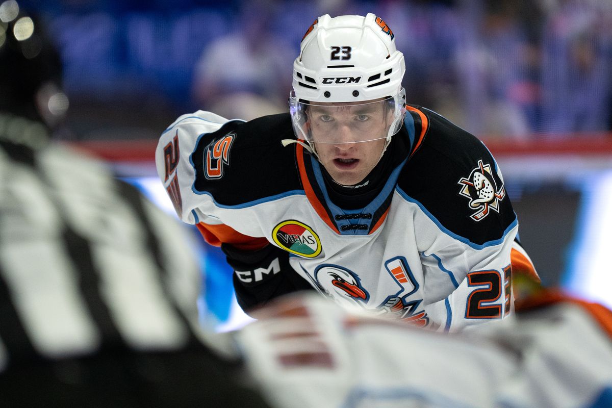 Gulls forward Lucas Pettersson (23) looks on during an AHL hockey game against the Barracuda, Saturday October 24, 2026 in San Diego, California. Gulls forward Lucas Pettersson (23) looks on during an AHL hockey game against the Barracuda, Saturday October 24, 2026 in San Diego, California.