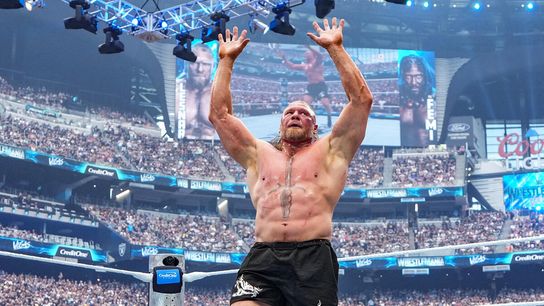 Brock Lesnar's retirement goes far deeper than just the WWE (Combat)