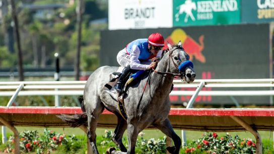 Santa Anita Saturday: Kentucky Derby Spot On The Line taken Arcadia, CA (News). Photo by Santa Anita Park.