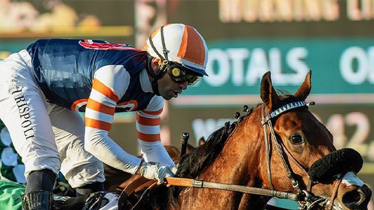 Santa Anita Saturday: Down The Hill in the Daytona taken Santa Anita Park (News). Photo by Del Mar Race Track