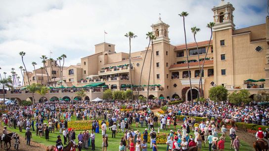 Breeders’ Cup Saturday Brings Global Stars to Del Mar taken at Del Mar Race Track (Horse Racing)