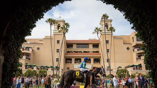 Great Performances Highlight Breeders’ Cup 2025 taken at Del Mar Race Track (Horse Racing)