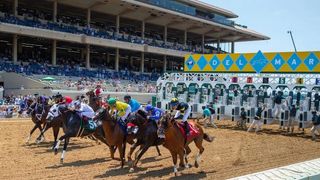 Del Mar: Maidens Take Center Stage taken at Del Mar Thoroughbred Club (Horse Racing). Photo by Del Mar / Benoit Photo
