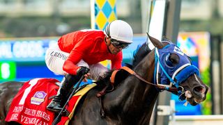 Del Mar: 6 Stakes Winners Collide in Grade 1 Bing Crosby taken at Del Mar Thoroughbred Club (Horse Racing). Photo by Del Mar / Benoit Photo