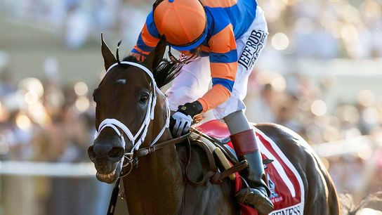 Del Mar: Pacific Classic Entices Great Field taken Del Mar Racetrack (News). Photo by Del Mar / Benoit Photo