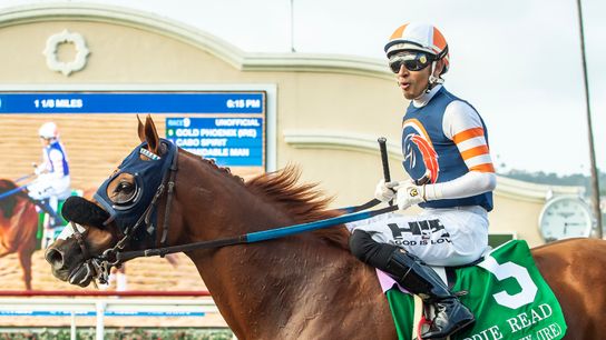 Del Mar: Gold Phoenix goes for 5th Handicap Title taken Del Mar Thoroughbred Club (News). Photo by Del Mar / Benoit Photo
