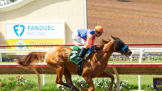 Del Mar: Baffert Sends Pair to Gate in Grade 1 Debutante taken at Del Mar Racetrack (Horse Racing)