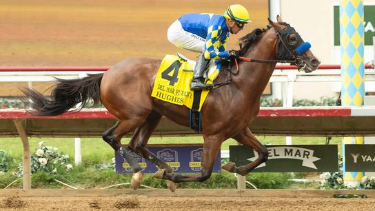 Santa Anita Saturday: Grade 1 American Pharoah The Feature taken at Del Mar Racetrack (Horse Racing). Photo by Del Mar / Benoit Photo