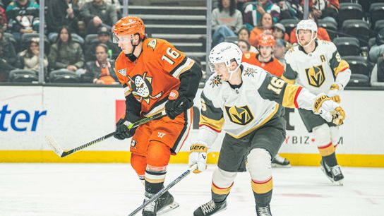 Golden Knights face Ducks in battle for Pacific Division lead taken at Honda Center (Vegas Golden Knights)