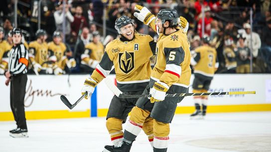 Golden Knights getting critical reinforcements to kick off series against Ducks (Vegas Golden Knights). Photo by RJ Forbus-The Sporting Tribune