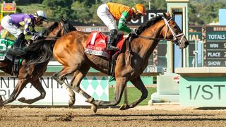 Journalism returns to Del Mar in San Diego Handicap taken at Del Mar Racetrack (Horse Racing). Photo by Santa Anita Park / Benoit