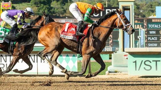 Journalism Returns to Del Mar in San Diego Handicap taken at Del Mar Racetrack (Horse Racing). Photo by Santa Anita Park / Benoit