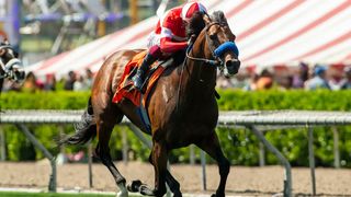 Santa Anita Saturday: Down The Hill in the Flag taken at Santa Anita Park (Horse Racing). Photo by Santa Anita Park / Benoit Photo