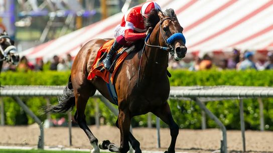 Santa Anita Saturday: Down The Hill in the Flag taken at Santa Anita Park (Horse Racing). Photo by Santa Anita Park / Benoit Photo