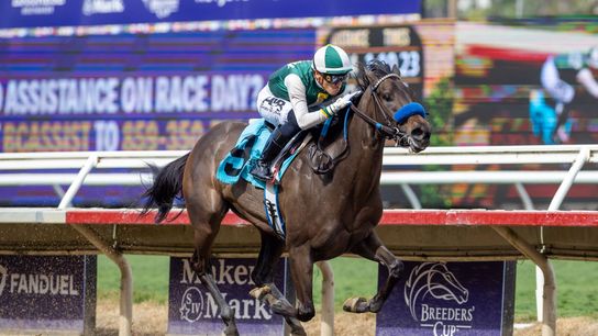 Santa Anita Saturday: Gold Rush Features Cal-Breds taken at Santa Anita Park (Horse Racing)