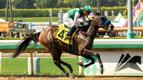 Los Alamitos Saturday: Sprinting in the Becca Taylor taken Los Alamitos Race Course (News). Photo by Santa Anita Park / Benoit Photo