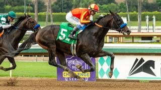 Santa Anita Saturday: Nevada Beach returns in Goodwood taken at Santa Anita Park (Horse Racing). Photo by Santa Anita Park / Benoit Photo