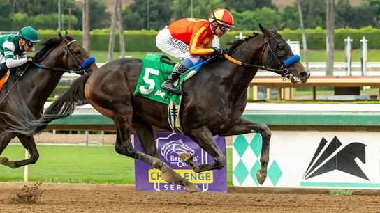 Santa Anita Saturday: Nevada Beach returns in Goodwood taken Santa Anita Park (News). Photo by Santa Anita Park / Benoit Photo