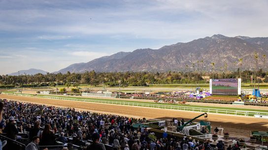 2-Year-Olds in Spotlight at Santa Anita taken at Santa Anita Park. (Horse Racing)