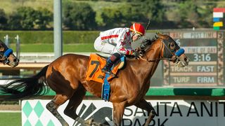 Santa Anita Derby: Potente leads solid group taken at Santa Anita Park  (Horse Racing). Photo by Santa Anita Park.
