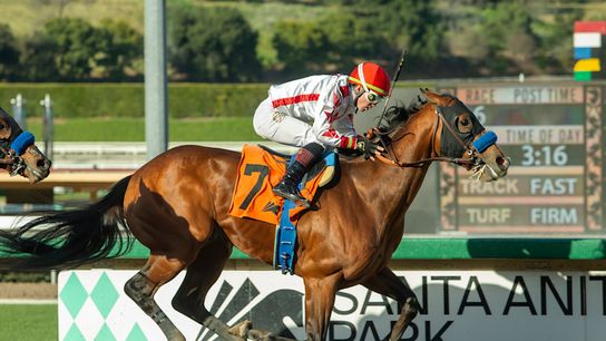 Santa Anita Derby - Potente Leads Solid Group taken Arcadia, CA (News). Photo by Santa Anita Park.