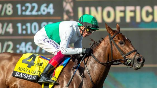 Santa Anita Saturday: Rashmi Returns in Wilshire Stakes taken Arcadia, CA (News). Photo by Santa Anita Park.