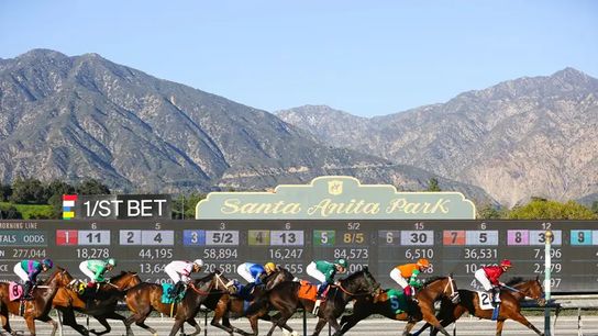Lure Stakes Highlights Santa Anita Saturday taken at Santa Anita Park (Horse Racing)