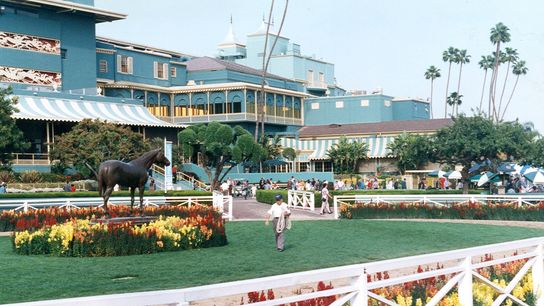 Santa Anita Saturday: Grade 3 San Luis Rey The Feature taken at Santa Anita Park (Horse Racing). Photo by Santa Anita Park