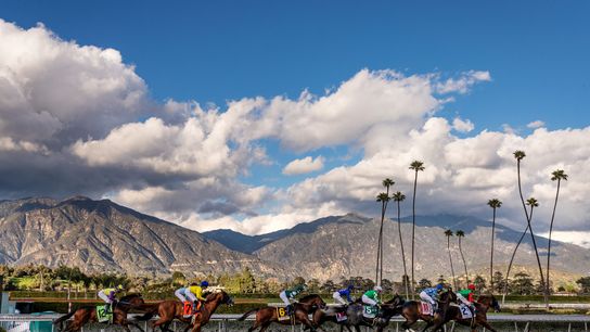 Grade 3 Daytona Highlights Closing Saturday at Santa Anita taken at Santa Anita Park (Horse Racing)