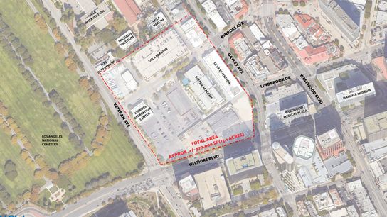 Pitch via Chris Curry Pitch via Chris Curry