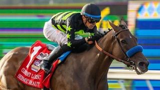 Del Mar: Seismic Beauty goes for repeat in Grade 1 Hirsch taken at Del Mar Thoroughbred Club (Horse Racing). Photo by Del Mar / Benoit Photo