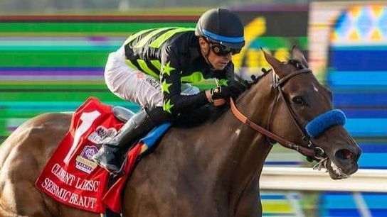 Del Mar: Seismic Beauty goes for repeat in Grade 1 Hirsch taken Del Mar Thoroughbred Club (Horse Racing). Photo by Del Mar / Benoit Photo